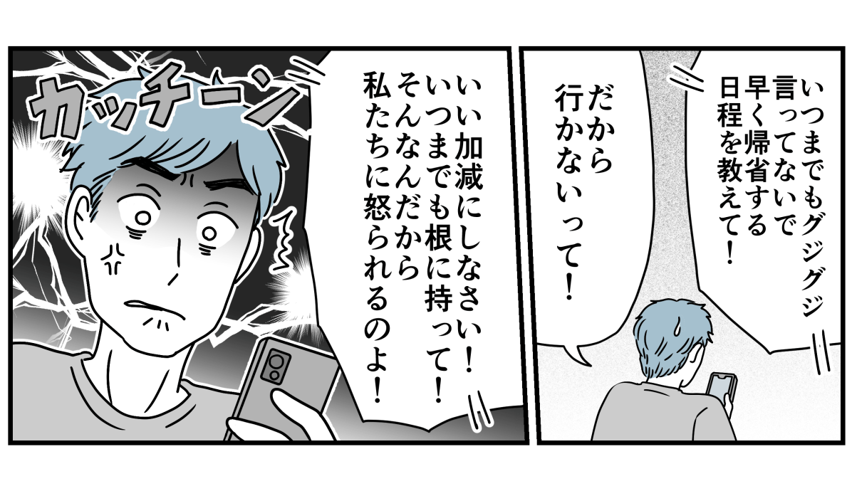4_3_3