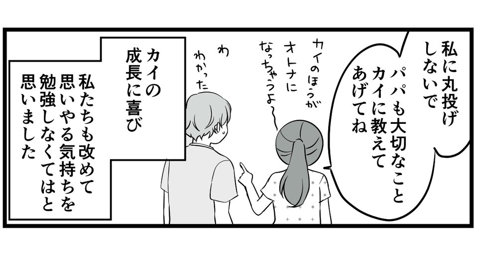 4_3_3 (26)