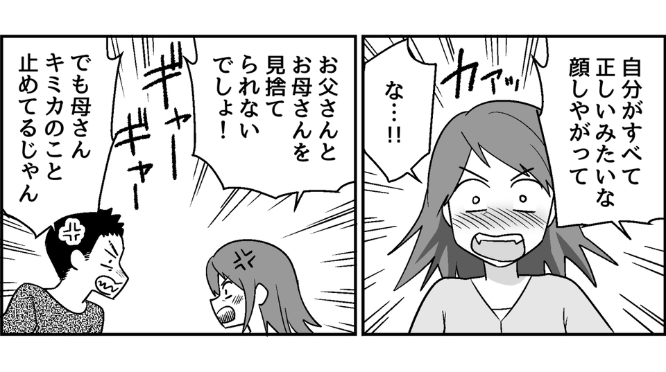 5_3_1