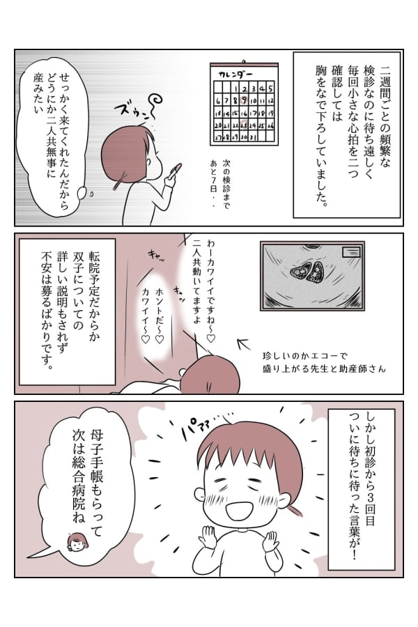 不安だらけ!双子妊娠初期 2