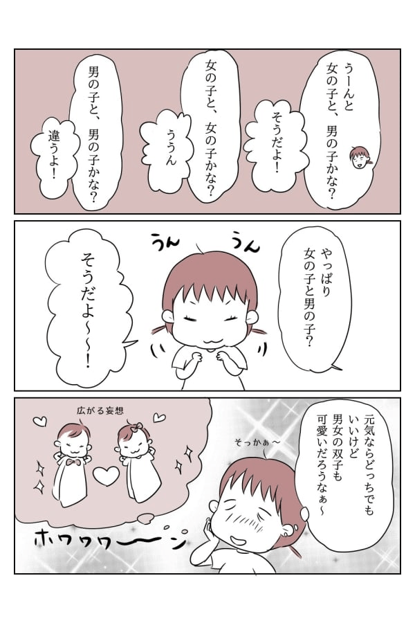 双子妊娠中期 性別予想 2