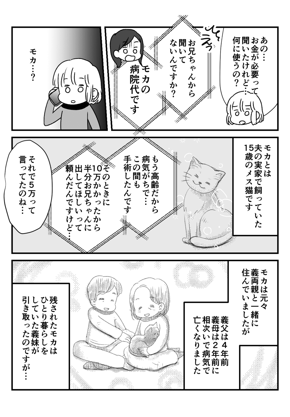 独身の義妹が金銭_出力_003