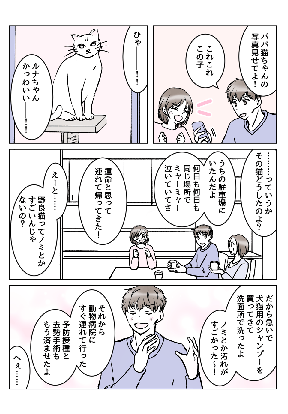 【2話①】「1人は寂しいから」旦那の単身赴任先に猫がいた