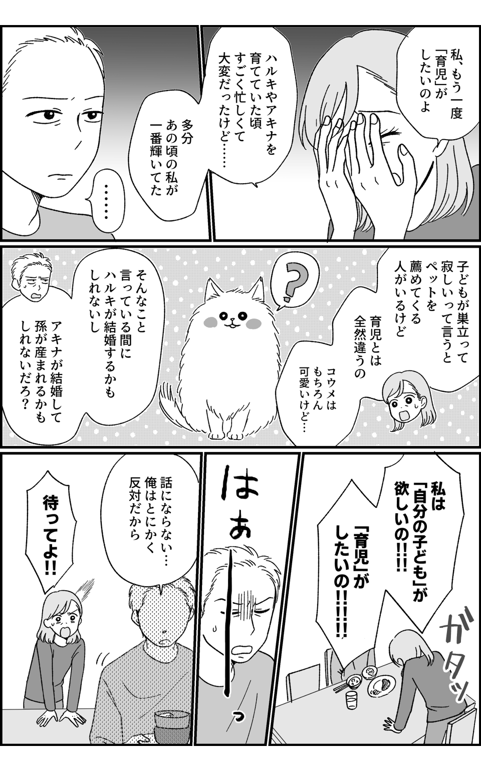 ４３歳の妊活_011