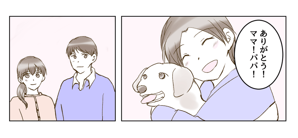 4_3_3