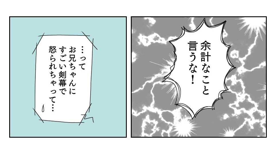 2_3_3