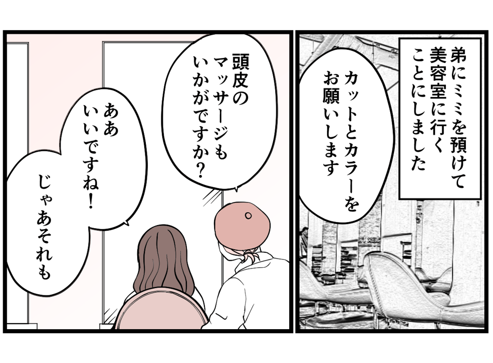 4-1-1 (4)