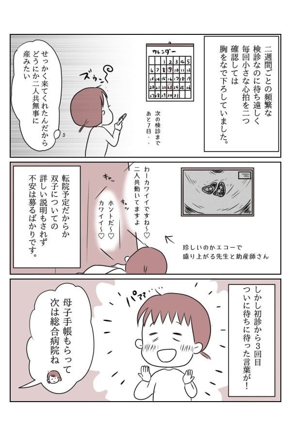 不安だらけ！双子妊娠初期　2