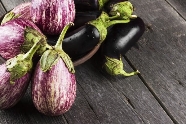 Various eggplants on a dark wooden background