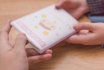 「妊娠前に読む」母子手帳があるって本当?