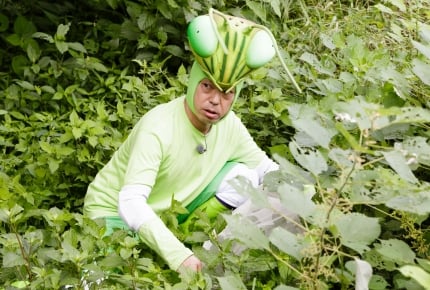 『香川照之の昆虫すごいぜ!〜3時間目』はオニヤンマ!最新作が2017年10月9日放送