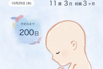 パパに使ってほしい育児専用アプリ「パパninaru(ニナル)」