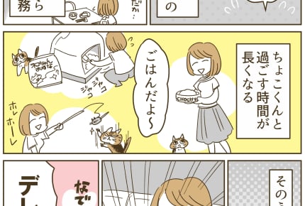 「ちょこくんとの出会い」#うちの猫ちょこくんシリーズ＜第1話＞