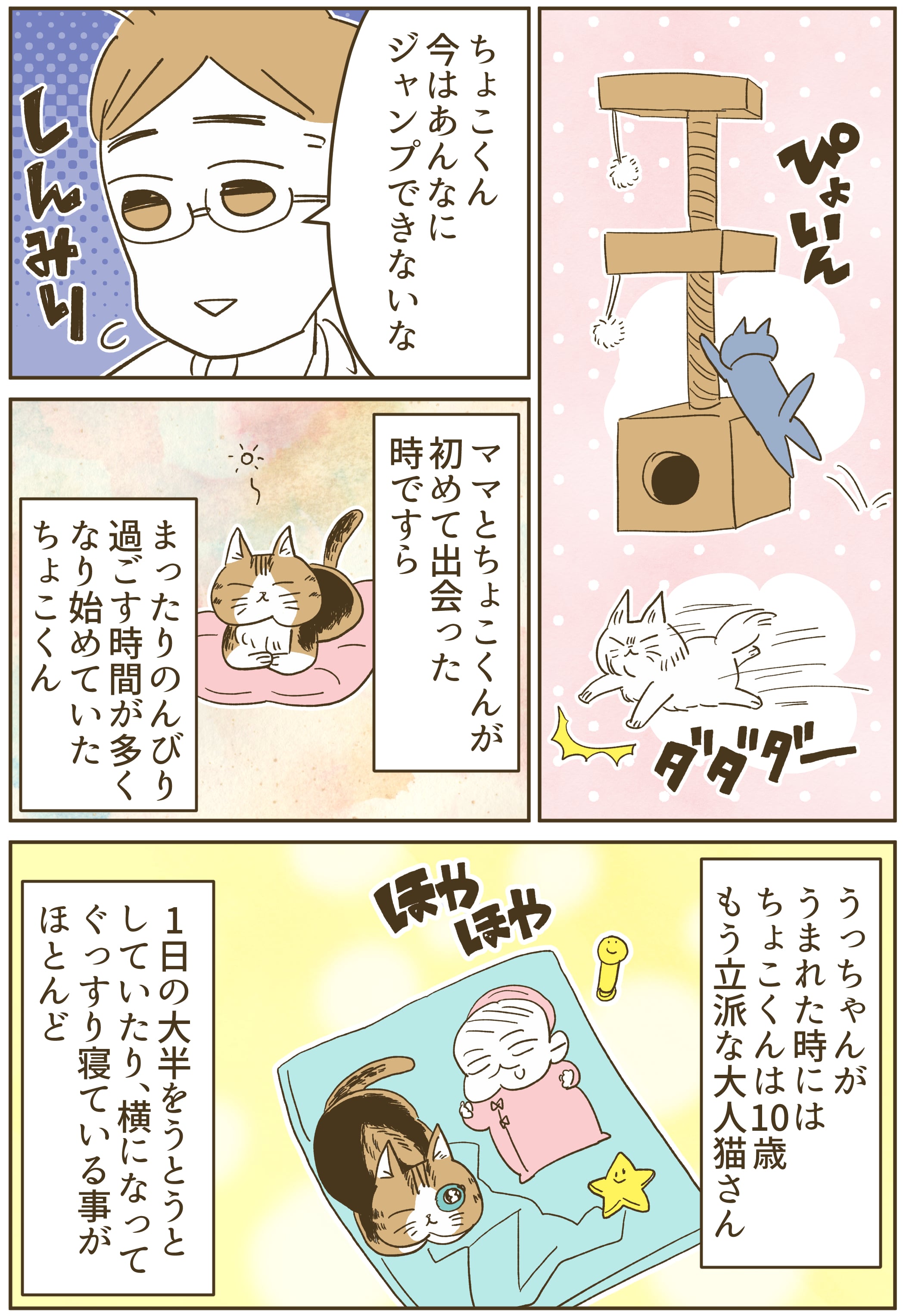 子どももママもパパも代わりがいないように 同じ猫だっていない やっぱりちょこくんがいちばんかわいい うちの猫ちょこくんシリーズ ママスタセレクト