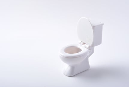 トイレに便座カバーやマット類がなかったら驚く?みんなのトイレ事情を教えて!
