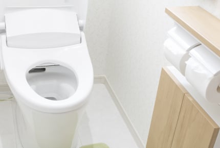 男性も「家のトイレは座ってする」が7割!?立つ・座るで変わる家のトイレ掃除事情とは