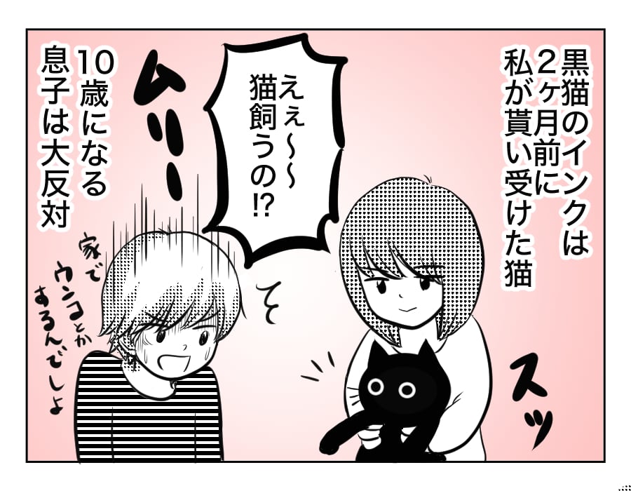 10歳息子と猫1 2話 反抗期目前のギスギスした雰囲気を和らげてくれる存在 4コマ母道場 ママスタセレクト