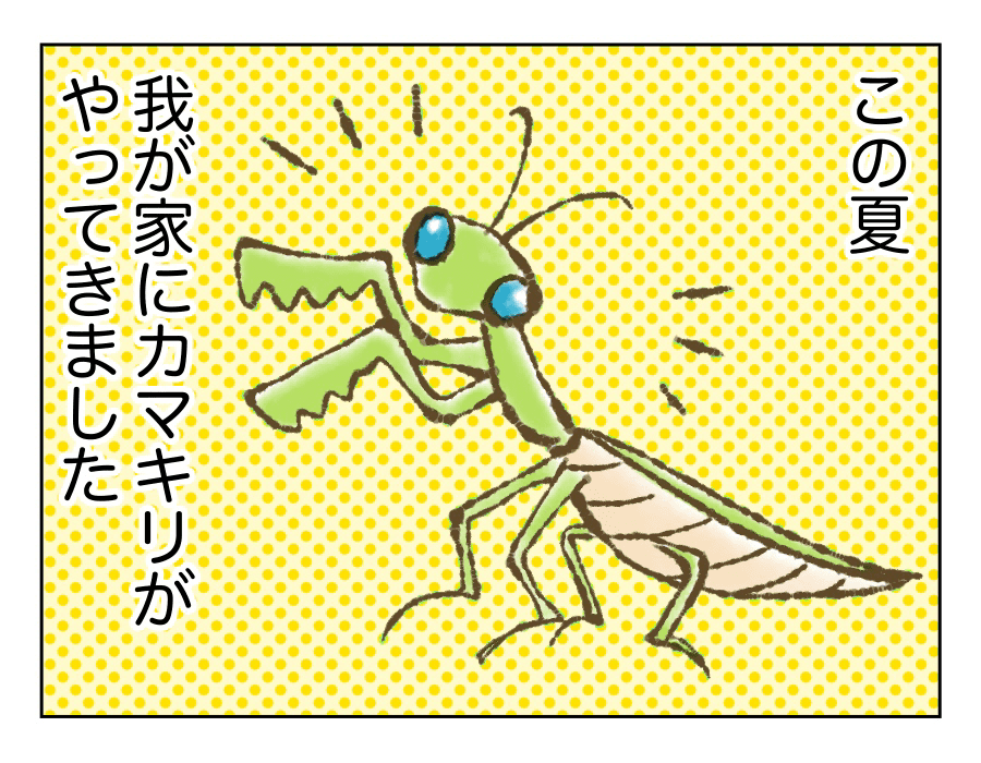 適当すぎるネーミング01