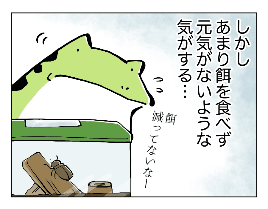 永遠の少年2_2