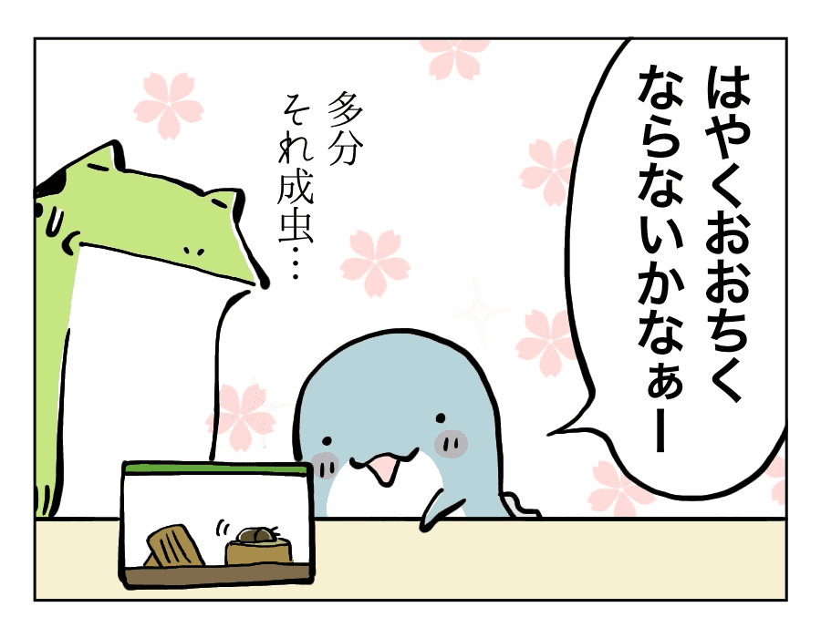 クワガタに抱く夢_2