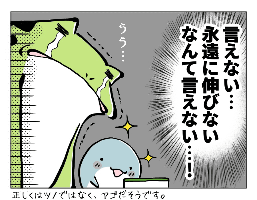 クワガタに抱く夢_4