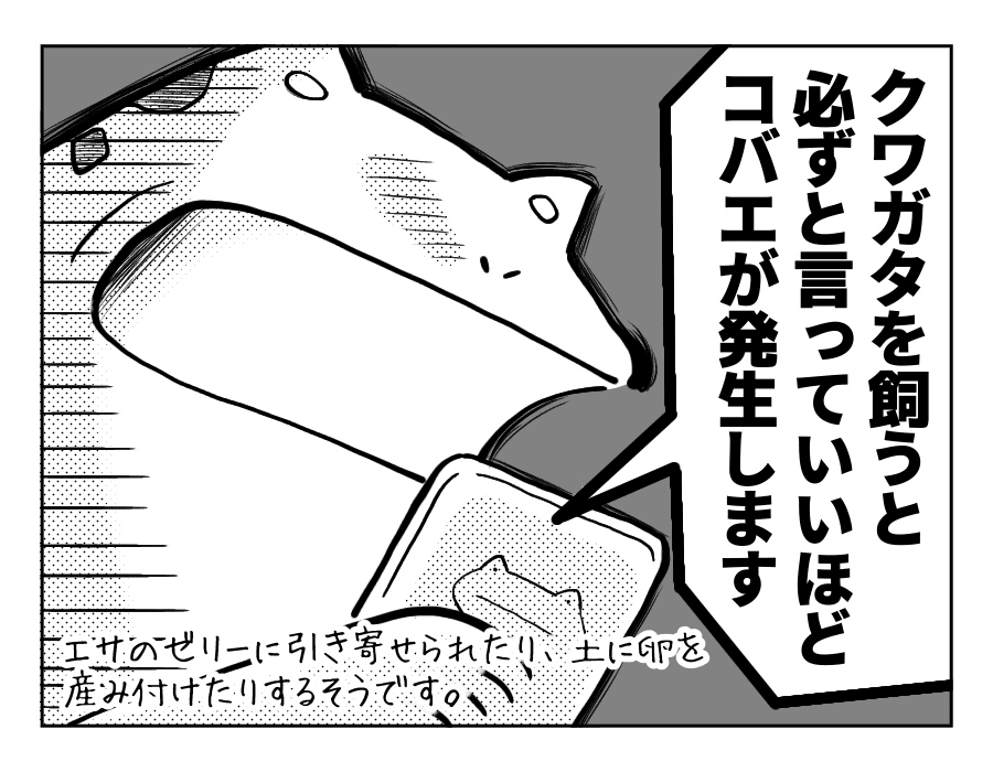 想定外の侵入者_4