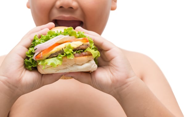 Hamburger in obese fat boy hand