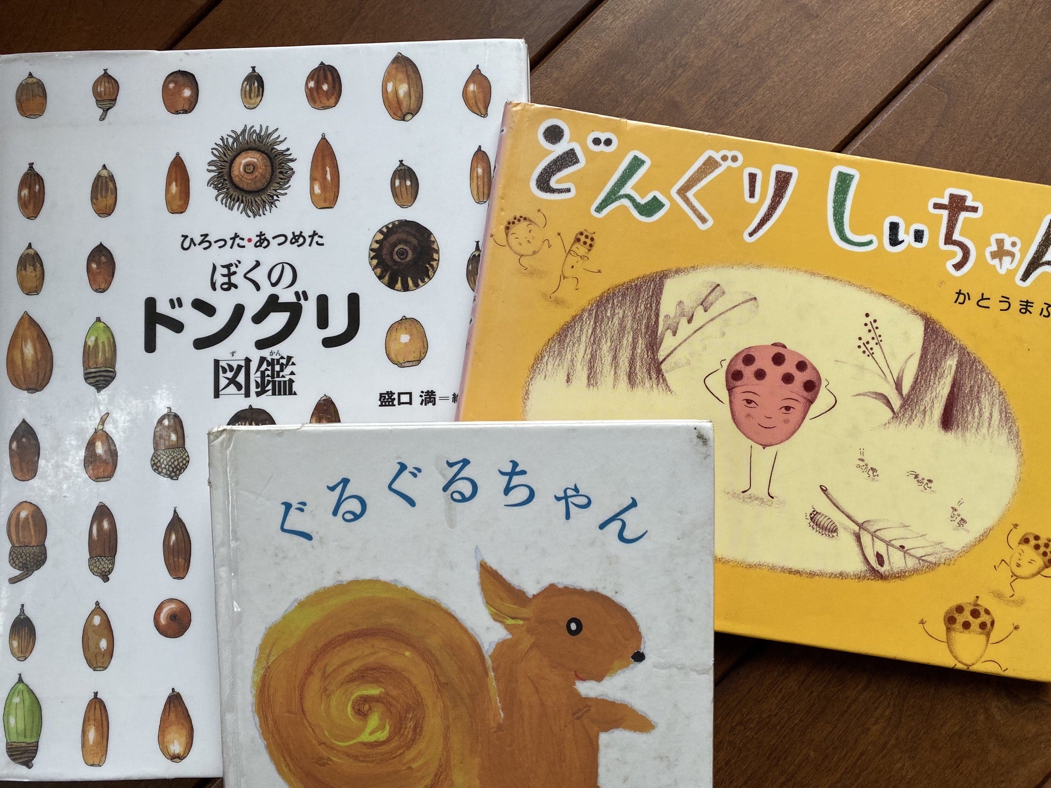 子どもは大好き どんぐりの魅力をたっぷり楽しめる絵本4選 ママの悩みに寄り添う絵本 ママスタセレクト