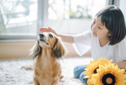 ペットを飼うことは子どもの「情操教育」に良いことなのか？