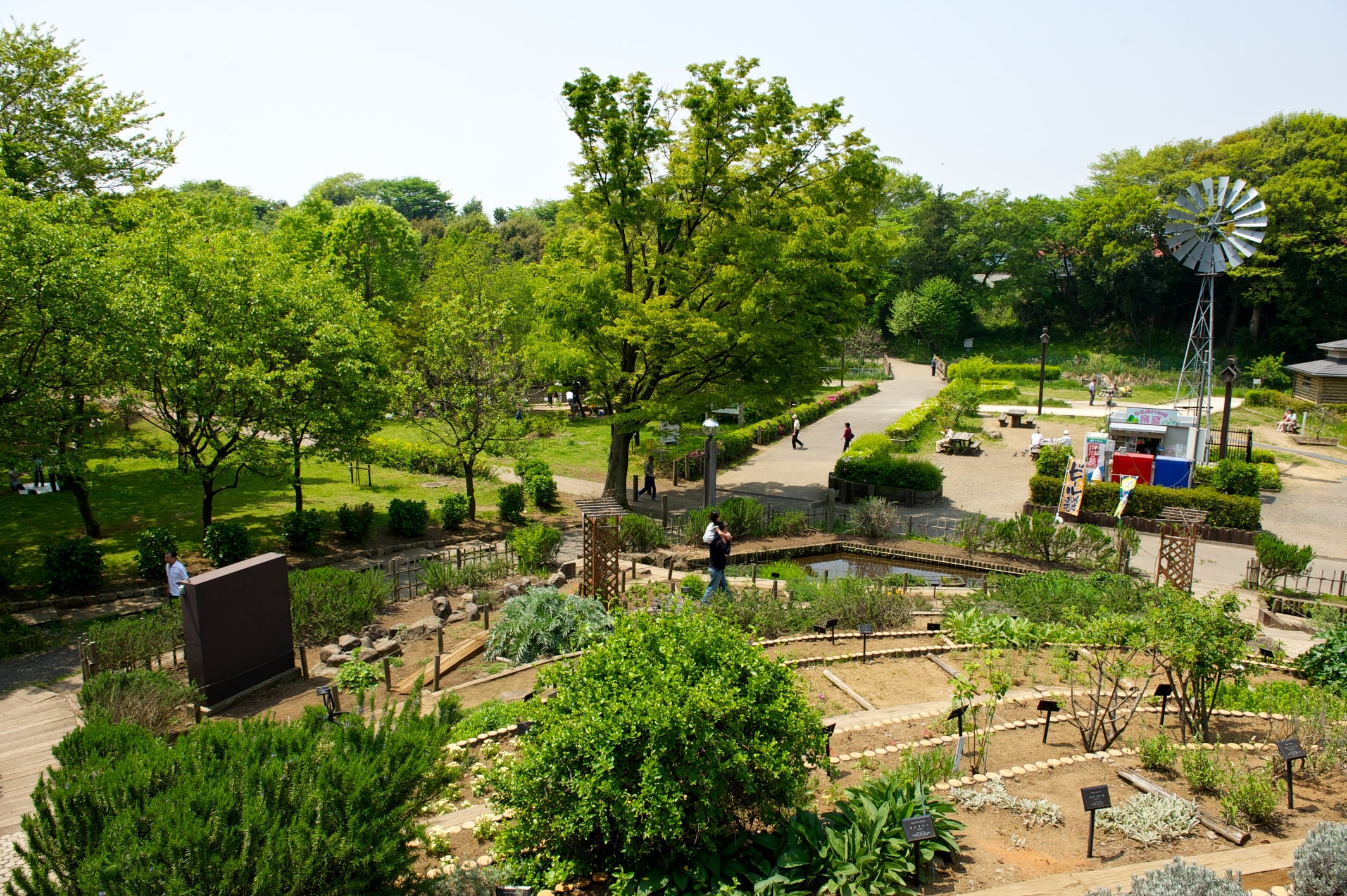 緑豊かな自然に囲まれて思いっきり遊べる！神奈川県大和市にある公園3選 | ママスタセレクト