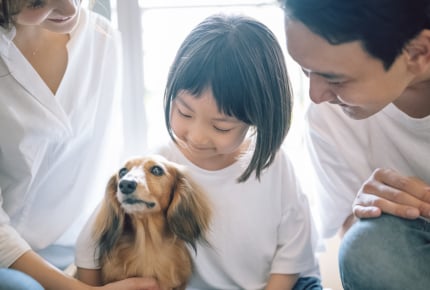 家族が犬を飼いたがる……犬を飼うとどんなメリット・デメリットがある?