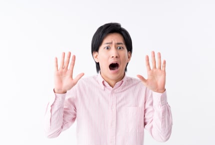「簡単なメニューでいいよ」と言う旦那さん。「簡単なメニュー」ってコレだけど……いいかな?