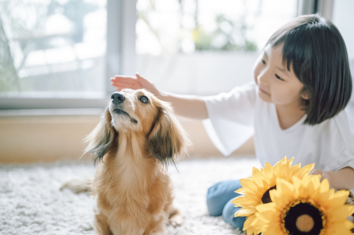 命の大切さを学んでほしい だけでペットを飼っても大丈夫 家族がペットを飼いたいといったときに考えたいこと ママスタセレクト