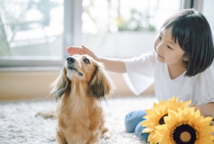 「命の大切さを学んでほしい」だけでペットを飼っても大丈夫?家族がペットを飼いたいといったときに考えたいこと