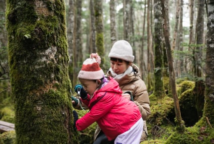 八ヶ岳で親子旅！緑の絨毯が広がる神秘的な「苔の森」探索に出かけよう