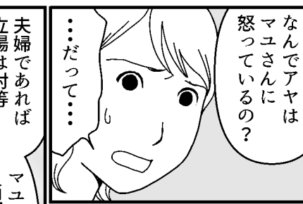 <義妹と!おもてなしトラブル勃発>帰りの車で夫タメ息。トラブル招いたのは……私?【第7話まんが】