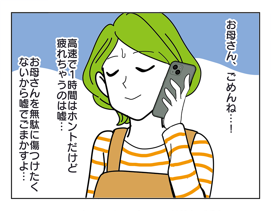 -お歳暮08-4