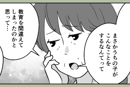 <義母のせいで?>息子に非がある…けど嫁だって悪かったんじゃない?【第6話まんが:義母の気持ち】