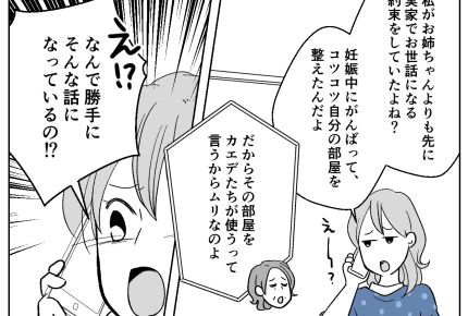 <姉と母は共依存>母「里帰りはキャンセルで!」相談もなく話を進める母と姉にムカッ【第1話まんが】