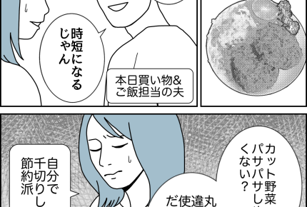 【夫婦、小さなすれ違い…】カット野菜は肯定派?節約させて〜!【第26話まんが】#ママスタショート
