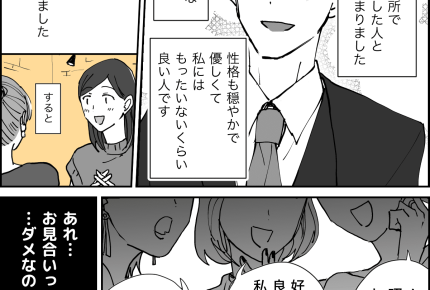 【結婚、相手はダイジョウブ？】出会いはお見合い。え…ダメ！？【第23話まんが】#ママスタショート