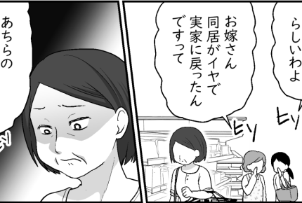 <ハズレ義母の暴言>去っていった息子家族。夢だった同居は夢のまま…【第7話まんが:義母の気持ち】