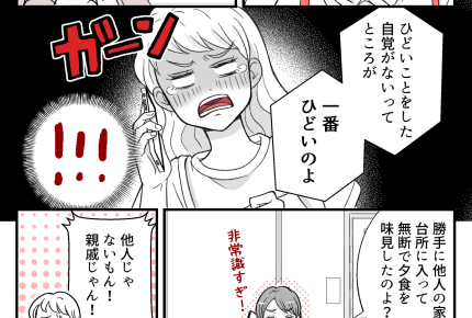 ＜義姉が口をつけたカレー事件＞愚痴ったら疎遠に！私が非常識なの…？【第5話まんが：義姉の気持ち】