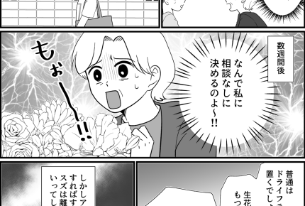 <母、ダブルバインド>娘&孫ラブ!勝手な判断NG、全部私に相談してッ【第4話まんが:母の気持ち】