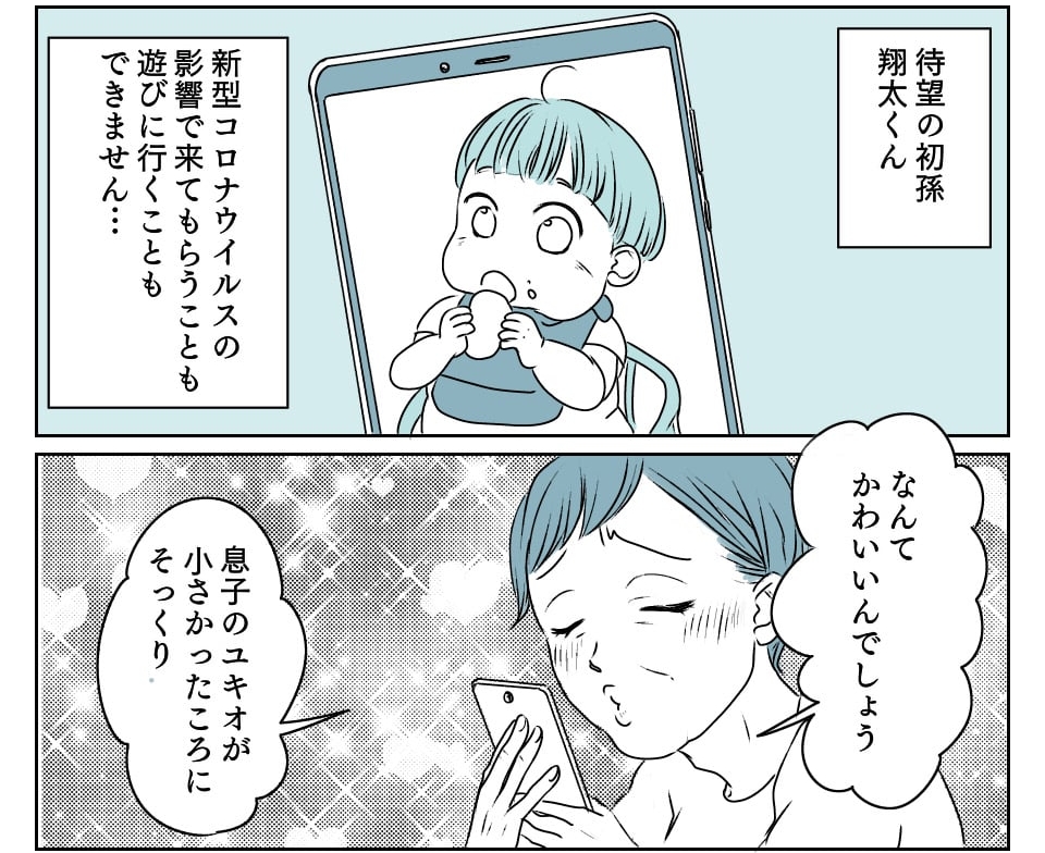 ＜嫁姑問題＞「孫の写真が欲しい」嫁は子育てをちゃんとしてない……？【第1話まんが：義母の気持ち】