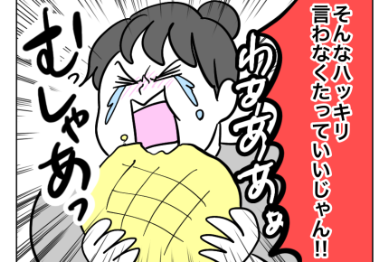 【ヤバ義母VSメロンパンボディ嫁】面と向かって「太ったでしょ」は酷すぎる＜第5話＞#4コマ母道場