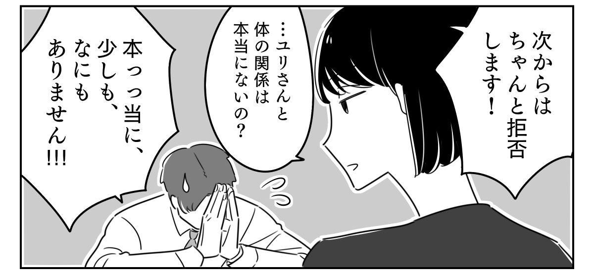 4_3_3 (25)