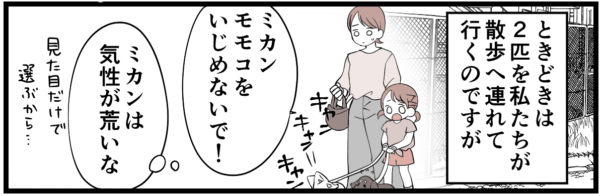3-2-2 (17)