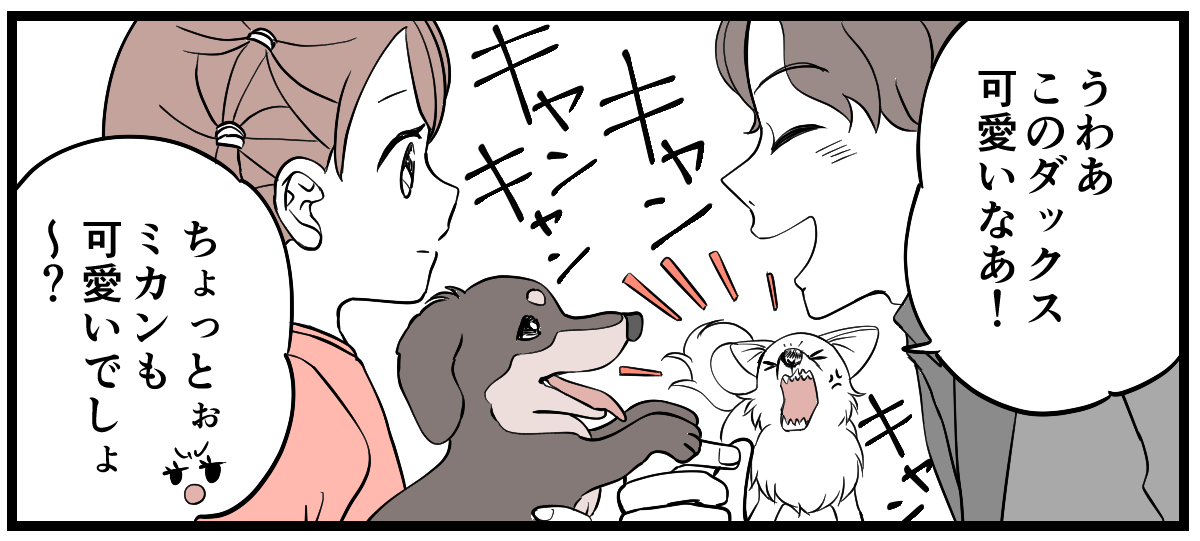 3-3-1 (18)