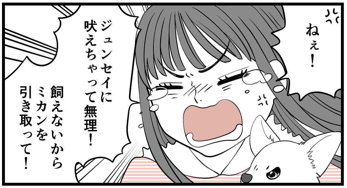 10-1-3 (1)